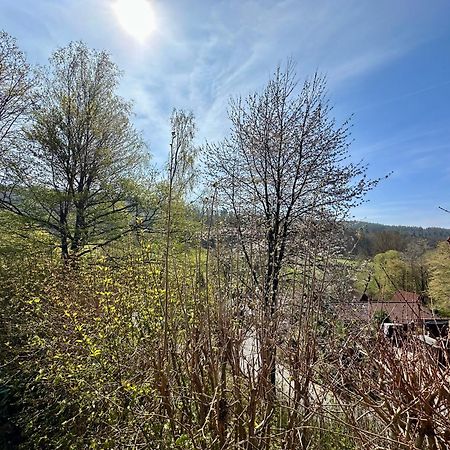 Natur Pur - Waldurlaub Im Tiny House Ronshausen Exterior foto