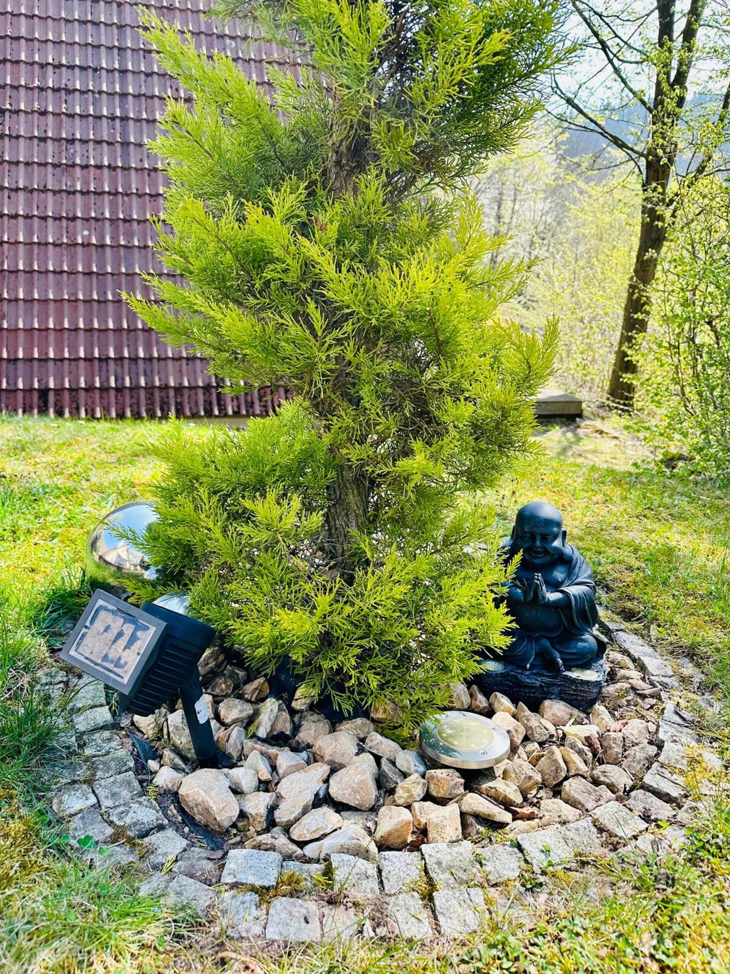 Natur Pur - Waldurlaub Im Tiny House Ronshausen Exterior foto
