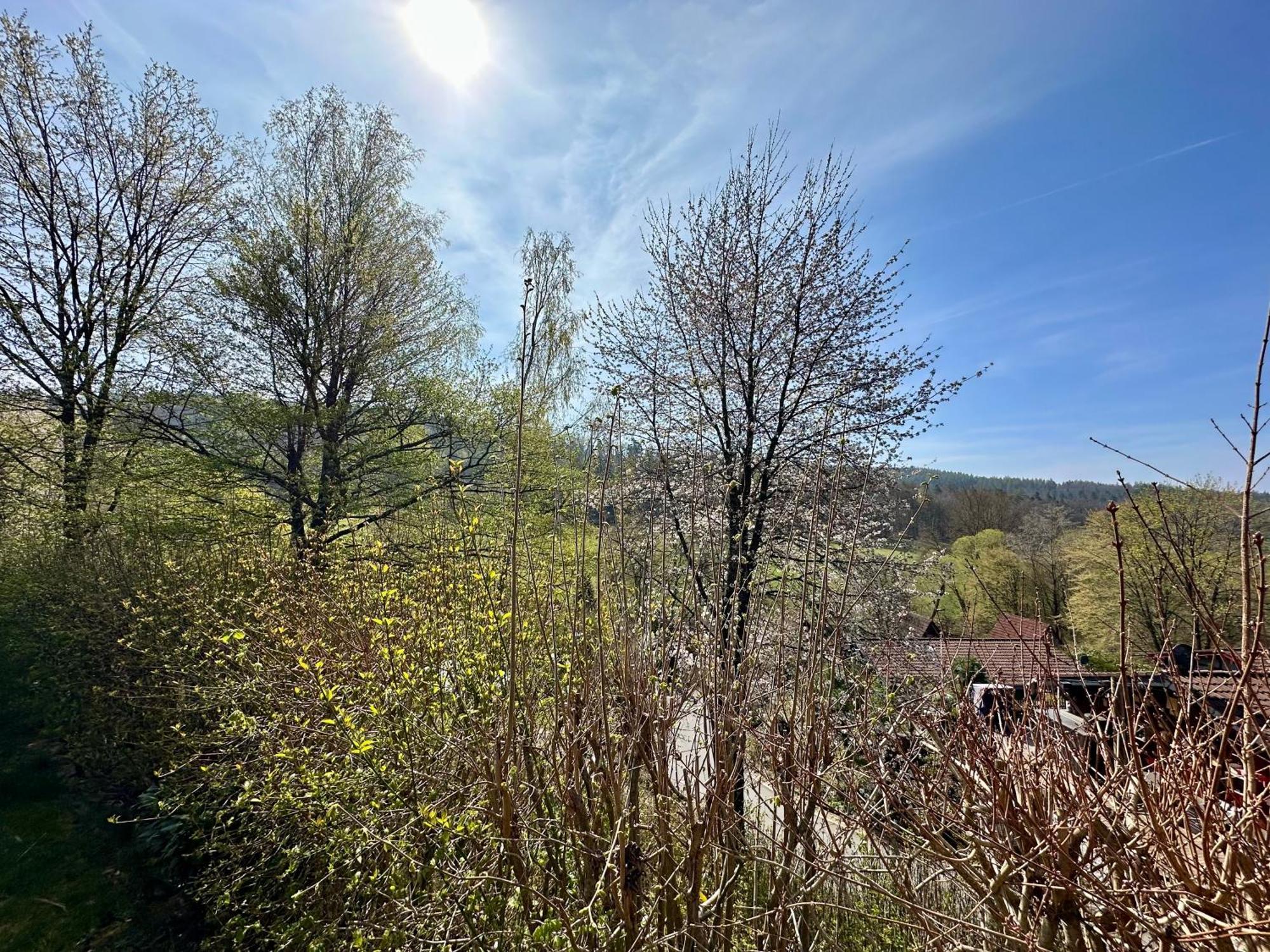 Natur Pur - Waldurlaub Im Tiny House Ronshausen Exterior foto